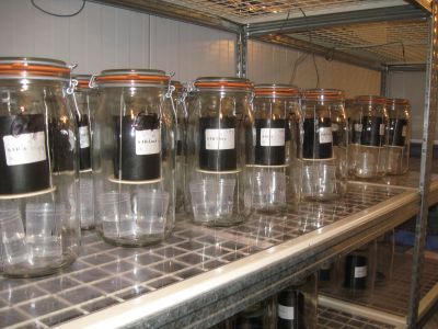 Incubation de sols en conditions contrôlées de température et d'humidité