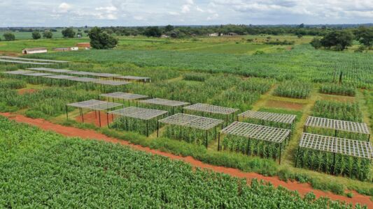 Dispositif expérimental pour limiter les pluies au Zimbabwé