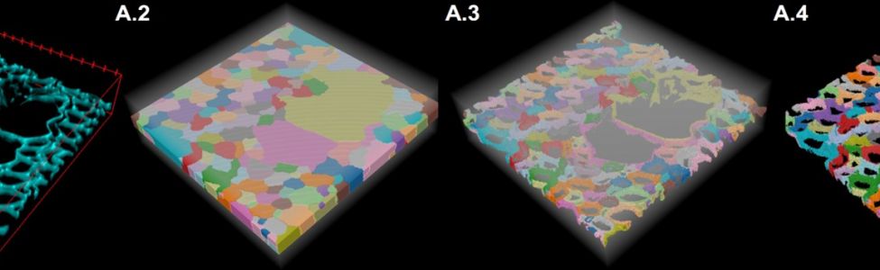 2024-09-09 Annonce IE FillingGaps.jpg