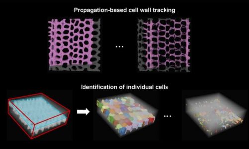 2025-04-29 Solmaz_microscal_deconstruction.jpg