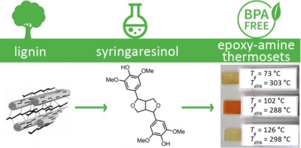 Résine à bae de syringarésinol 