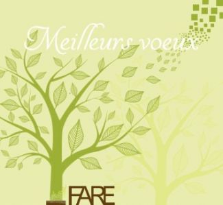 Voeux 2017