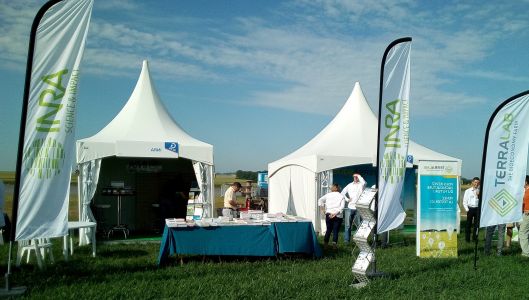 Stand INRA Culturales