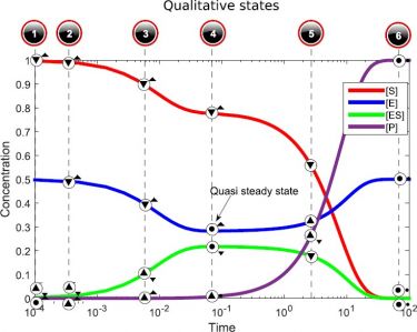 Suivi qualitatif de l'hydrolyse