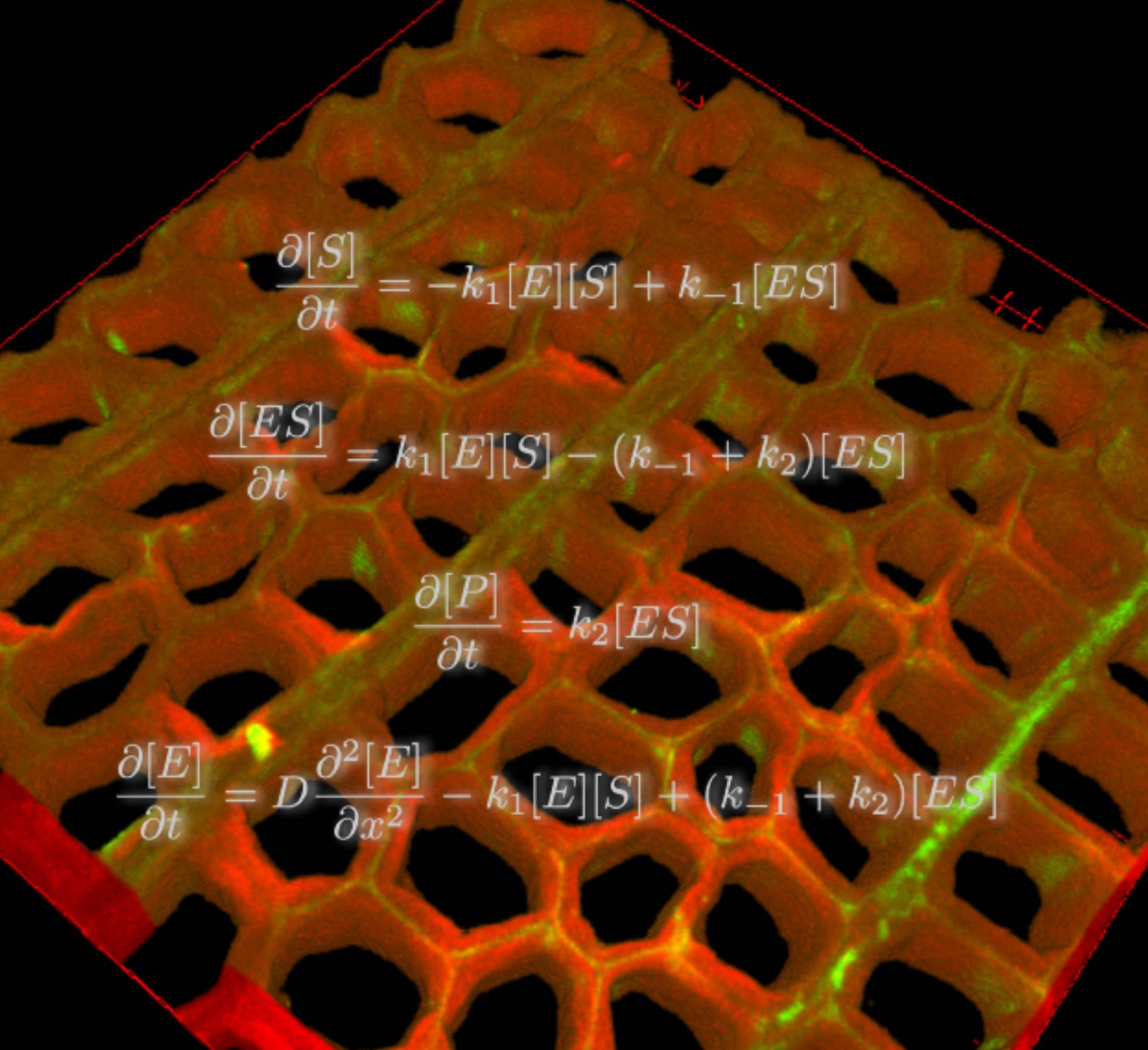 2024-05-27 Annonce thèse FARE-INRIA.jpg