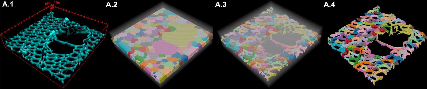 2024-09-09 Annonce IE FillingGaps.jpg