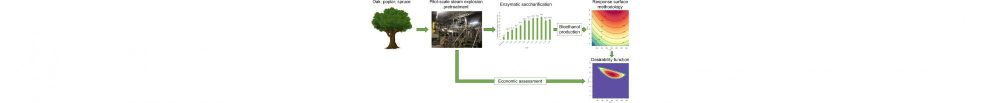 2024-12-05 Article PT bioéthanol.jpg