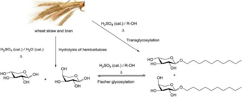 Synthèse xylopyranoside