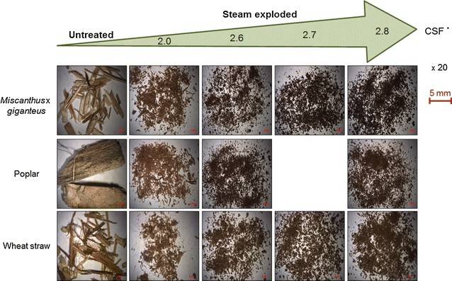 Biomasse explosée à la vapeur